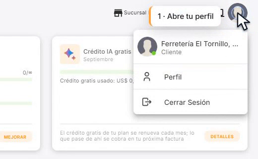Menú de la foto con la opción Perfil